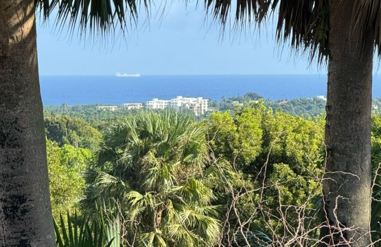 Vendita Terreno Campagna Cabarete Costa nord Repubblica Dominicana