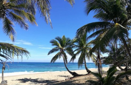 Vendita Terreno Mare Cabarete Costa nord Repubblica Dominicana