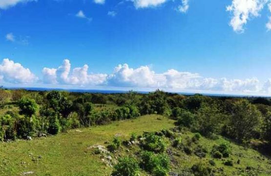 Vendita Terreno Zona tranquilla Cabarete Costa nord Repubblica Dominicana